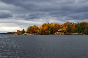 Body Of Water And Trees Wallpaper
