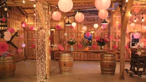 Bohemian Style Zoom Party Wallpaper