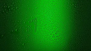 Bold And Vibrant Solid Green Background That Stands Out Wallpaper