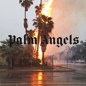 Bold Colorways And Patterns Represent The Palm Angels Brand Wallpaper