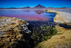 Bolivia Altiplano Lake Wallpaper