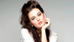 Bollywood Hd Actress Evelyn Sharma Wallpaper