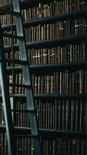 Books And Ladder Iphone Dark Wallpaper