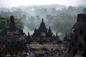 Borobudur Temple Trees Covered In Mist Wallpaper