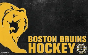 Boston Bruins Logo Gold Bear Wallpaper