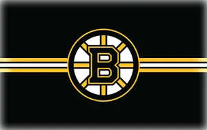 Boston Bruins White Yellow Black Wallpaper
