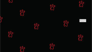 Boston University Red Paw Prints On Black Wallpaper