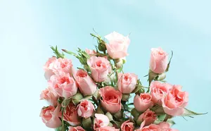 Bouquet Of Flowers In Pastel Pink Aesthetic Wallpaper