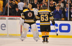 Brad Marchand Greeting Goalie Wallpaper