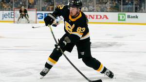 Brad Marchand Nhl Photo Wallpaper