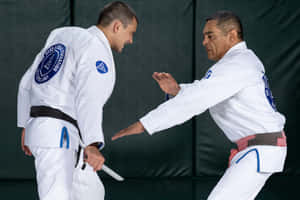 Brazilian Jiu Jitsu Masters Sparring Wallpaper