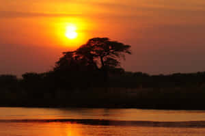 Breath-taking Silhouette Of Okavango Delta At Sunset Wallpaper