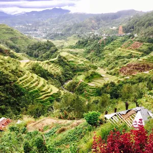 Breathtaking View Of The Historical Banaue Rice Terraces Wallpaper