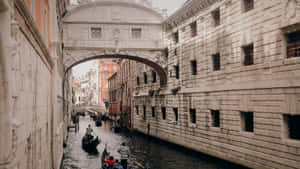 Bridge Of Sighs Famous Tourist Spot Wallpaper