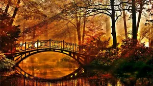 Bridge Over Water Fall Halloween Wallpaper