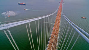 Bridge Within The Ocean Of Madison Wallpaper