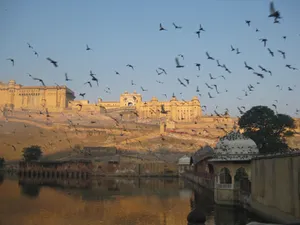 Brids Fyling In Amer Fort Wallpaper