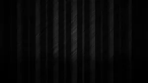 Bright And Bold 2560x1440 Black Wallpaper Wallpaper