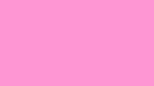 Bright And Vivid Solid Pink Wallpaper