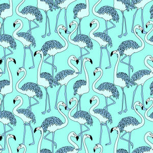 Bright Flamingo Pattern In Turquoise Wallpaper