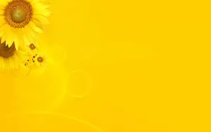 Bright Sunflower Brings Natural Joy Wallpaper