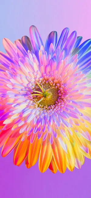 Brighten Up Your Day With This Beautiful Rainbow Flower Iphone Wallpaper! Wallpaper
