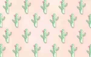 Brighten Up Your Home With A Cute Cactus! Wallpaper