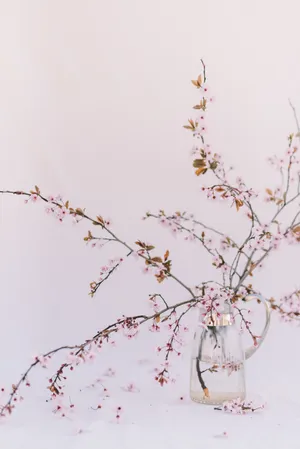 Brighten Up Your World With Pastel Vintage Iphone Wallpaper