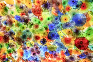 Brilliant Jellyfish Underwater World Wallpaper