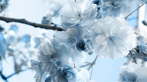 Bring The Beauty Of Color And Nature Into Your Home With The Soft Colors Of The Blue Flower Aesthetic. Wallpaper