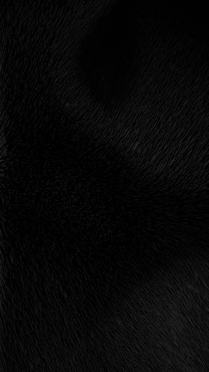 Bristled Hair Solid Black Iphone Wallpaper