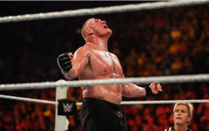 Brock Lesnar Ringside Photo Wallpaper