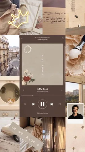 Brown Aesthetic Shawn Mendes Wallpaper