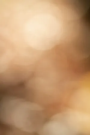 Brown And White Bokeh Lights Wallpaper