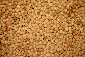 Brown Lentils Legumes Wallpaper