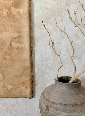 Brown Tree Branch On Gray Concrete Pot Wallpaper