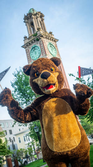 Brown University's Mascot, Bruno The Bear Wallpaper