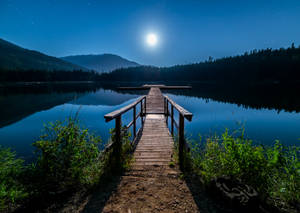 Brown Wooden Dock Near Lake Surrounded With Tall Trees Wallpaper