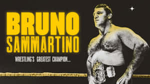 Bruno Sammartino Greatest Wrestling Champion Wallpaper