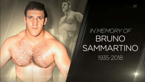Bruno Sammartino Wrestling Greats And Legend Wallpaper