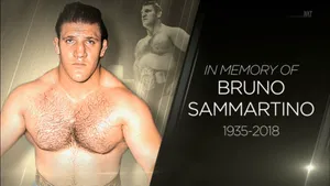 Bruno Sammartino Wrestling Greats And Legend Wallpaper