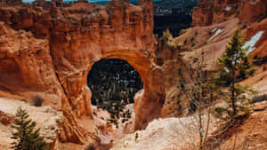 Bryce Canyon National Park Natural Bridge Wallpaper
