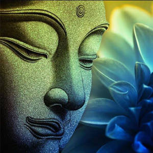 Buddha 3d Elegant Portrait Wallpaper