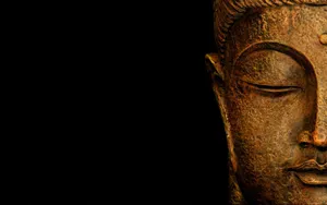 Buddha 3d Half Portrait Wallpaper