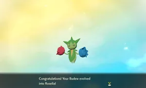 Budew Evolving To Roselia Wallpaper