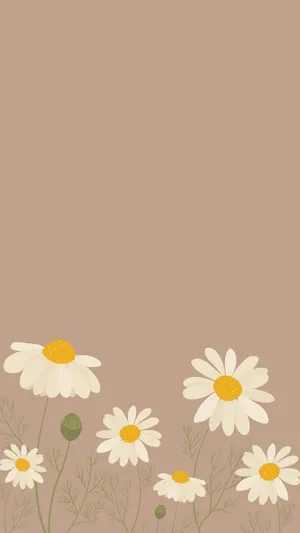 Buds And Full Bloom Daisy Iphone Wallpaper