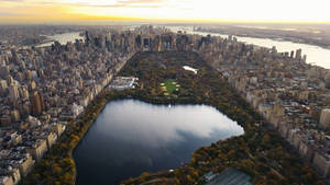 Buildings Central Park New York Computer Wallpaper