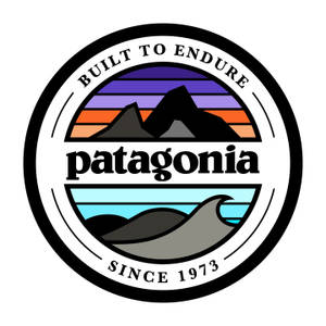 Built To Endure Patagonia Logo Wallpaper