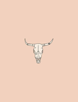 Bull Skull Line Drawing Wallpaper