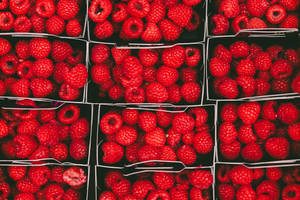 Bunch Of Raspberries Wallpaper